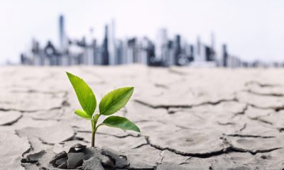 climate change impact on economy