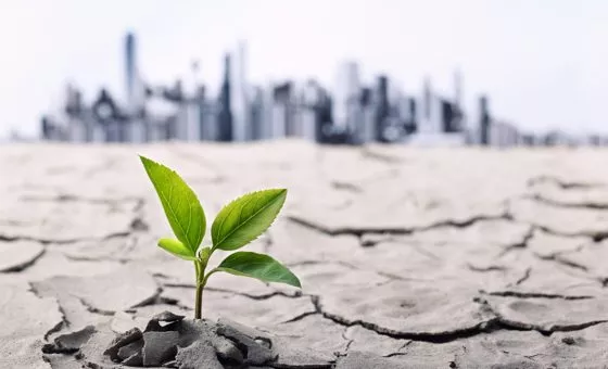 climate change impact on economy