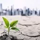 climate change impact on economy