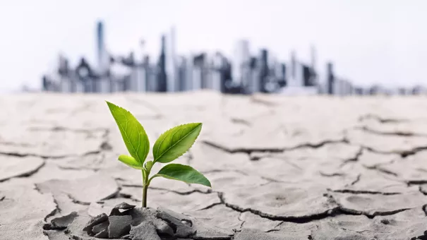 climate change impact on economy